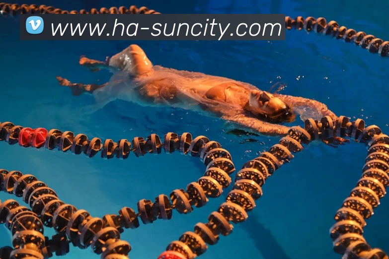 太阳城网站APP 体育赛事宣传图